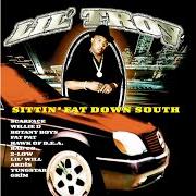 Le texte musical ANOTHER HEAD PUT TO REST de LIL' TROY est également présent dans l'album Sittin' fat down south (1999)