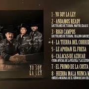 Le texte musical ANDAMOS READY de LOS TUCANES DE TIJUANA est également présent dans l'album Yo soy la ley (2026)