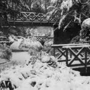 The huntress The huntress