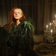 Neon grey midnight green Neon grey midnight green