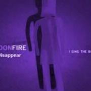 I sing the body holographic I sing the body holographic