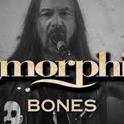 Le texte musical DANCING SHADOW de AMORPHIS est également présent dans l'album Borderland (2025)