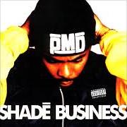 Le texte musical IN THE ZONE de PMD est également présent dans l'album Shade business (1994)