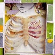 Le texte musical [UNTITLED] de PRETTY GIRLS MAKE GRAVES est également présent dans l'album Good health (2002)