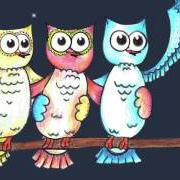 Owl singalong Owl singalong