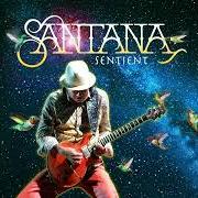 Le texte musical VERS LE SOLEIL (SENTIENT VERSION) de SANTANA est également présent dans l'album Sentient (2025)