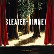 Le texte musical WILDERNESS de SLEATER-KINNEY est également présent dans l'album The woods (2005)