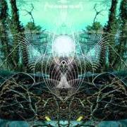 The ocean and the sun