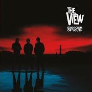 Le texte musical BLACK MIRROR de THE VIEW est également présent dans l'album Exorcism of youth (2023)