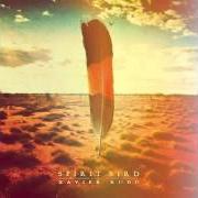 Morning birds Morning birds