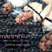 Le texte musical SPARA de MADREBLU est également présent dans l'album L'equilibrio (2004)