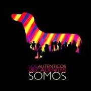 Le texte musical BESÁNDOTE de LOS AUTENTICOS DECADENTES est également présent dans l'album Somos (2008)