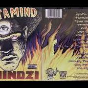Le texte musical FOREVER de MASTAMIND est également présent dans l'album Themindzi (2000)