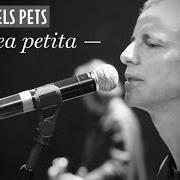 L'àrea petita L'àrea petita