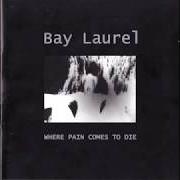 Where pain comes to die Where pain comes to die