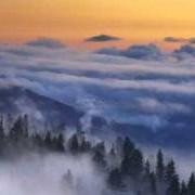 Le texte musical MEANT TO BE de BEDLIGHT FOR BLUEEYES est également présent dans l'album Life on life's terms (2007)