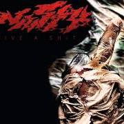 Give a shit Give a shit