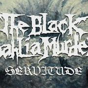 Le texte musical TRANSCOSMIC BLUEPRINT de THE BLACK DAHLIA MURDER est également présent dans l'album Servitude (2024)