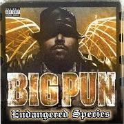Le texte musical STILL NOT A PLAYER de BIG PUNISHER est également présent dans l'album Endangered species (2001)
