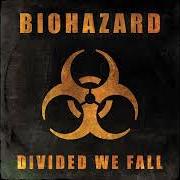Divided we fall