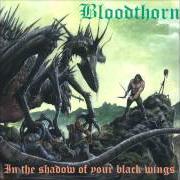 In the shadow of your black wings In the shadow of your black wings