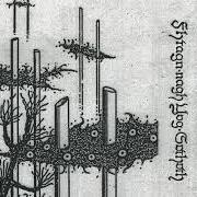 Le texte musical EVOKEN de THERGOTHON est également présent dans l'album Fhtagn-nagh yog-sothoth - demo (1991)