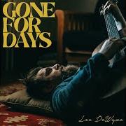 Le texte musical DEVIL IN THE DETAILS de LEE DEWYZE est également présent dans l'album Gone for days (2024)