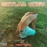 Le texte musical MOTIVATION de SKYLAR GREY est également présent dans l'album Wasted potential (2026)