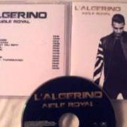 Aigle royal Aigle royal