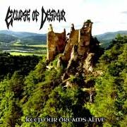 Keep your dream alive