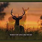 Le texte musical FORGIVING YOU de TURNPIKE TROUBADOURS est également présent dans l'album The price of admission (2025)