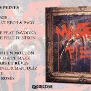 Le texte musical JARDIN DES PEINES de SWIFT GUAD est également présent dans l'album Masterpiece (2017)