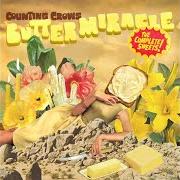 Le texte musical VIRGINIA THROUGH THE RAIN de COUNTING CROWS est également présent dans l'album Butter miracle, the complete sweets! (2025)