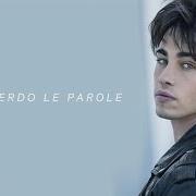 Le texte musical SEI MIA de RICCARDO MARCUZZO est également présent dans l'album Perdo le parole (2017)