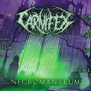 Le texte musical TORN IN TWO de CARNIFEX est également présent dans l'album Necromanteum (2023)