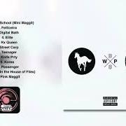 White pony
