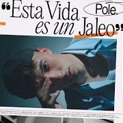 Esta vida es un jaleo