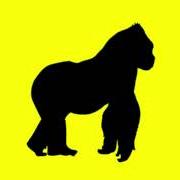 Le texte musical 99% de RUSOWSKY est également présent dans l'album Daisy (2025)