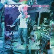 Le texte musical WHITE COLLAR WHITE TRASH de DISMEMBERMENT PLAN est également présent dans l'album Uncanney valley (2013)