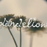 Le texte musical BACK TO THE WIND de WHITNEY est également présent dans l'album Small talk (2025)