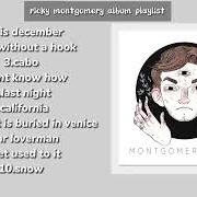 Le texte musical I'M JUST JOKING IN THIS INTERLUDE (INTERLUDE) de RICKY MONTGOMERY est également présent dans l'album Rick (2023)