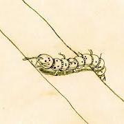 Le texte musical MALIBÙ de CHIELLO est également présent dans l'album Scarabocchi (2025)