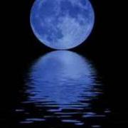 Portrait of a songwriter Portrait of a songwriter