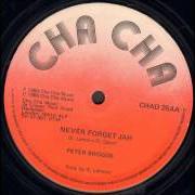 Le texte musical RASTAFARI LIVETH (EXTENDED) de PETER BROGGS est également présent dans l'album Never forget jah (2001)