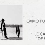 Le texte musical TOUCHER L'HORIZON de OXMO PUCCINO est également présent dans l'album Cactus de sibérie (2004)