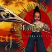 Scenery and fish Scenery and fish