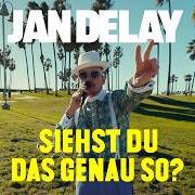 Le texte musical EIZ AIR (FEAT. MIEZE KATZ & EIZI EIZ) de JAN DELAY est également présent dans l'album Siehst du das genau so? (2024)